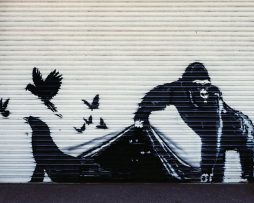 Kunstdruk Banksy - Gorilla London Zoo 70x50cm
