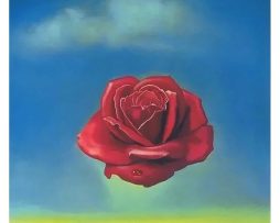 Kunstdruk Salvador Dali - Rose Meditative 60x80cm