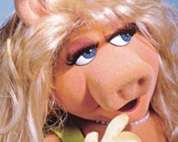 Kunstdruk Jim Henson Production - Cover Girl 50x70cm