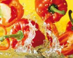 Kunstdruk Michael Meisen - Paprika 100x50cm
