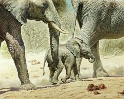 Kunstdruk Renato Casaro - Go Baby Go 100x70cm
