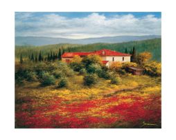 Kunstdruk Heinz Schölnhammer - Landschaft mit Mohn II 60x50cm