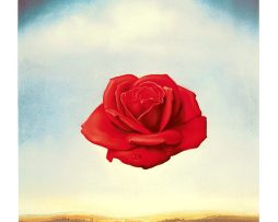 Kunstdruk Salvador Dali - Rose meditative 60x80cm