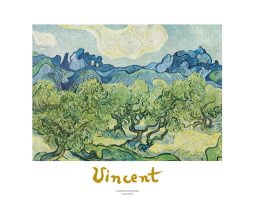 Kunstdruk Vincent Van Gogh - Landscapes with olive trees 70x50cm