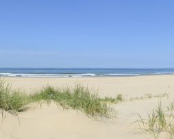 Schilderij -Tussen de duinen en zicht op de Noordzee , 150x30cm