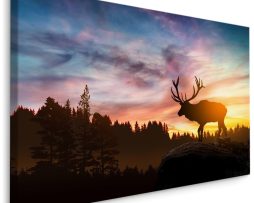 Schilderij - Hert bij zonsopkomst, majestueus, Premium Print