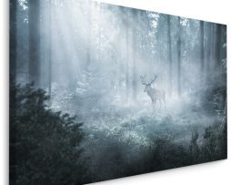 Schilderij - Hert in een donker Bos, Mist, premium Print
