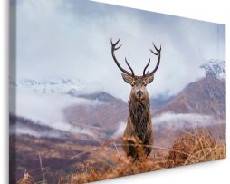 Schilderij - Hert in de besneeuwde Bergen, Premium print