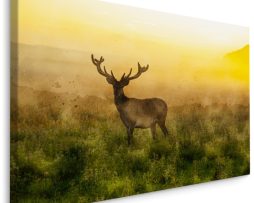 Schilderij - Hert in de Mist, Premium Print