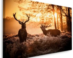 Schilderij - 2 Herten in de Ochtendzon, Premium Print
