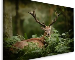Schilderij - Hert verstopt in het Groen, Premium Print