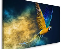Schilderij - Kleurrijke Papegaai, Ara, Premium Print