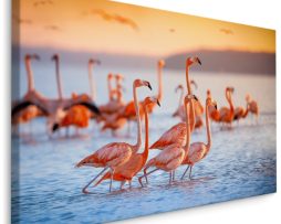 Schilderij - Flamingo's, Roze en blauw, premium Print