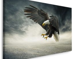 Schilderij - Adelaar in de Storm, Premium Print