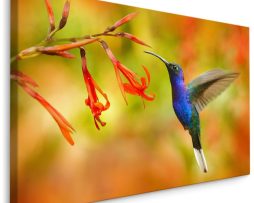 Schilderij - Kolibrie en Bloemen, Multikleur, Premium Print