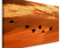 Schilderij - Kraanvogels bij Zonsondergang, Premium Print