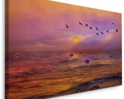 Schilderij - Vogels over de Oceaan, zonsondergang, Premium Print