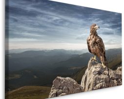 Schilderij - Adelaar op de top van de Berg, Premium Print