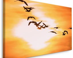 Schilderij - Aalscholvers bij zonsondergang, Premium Print