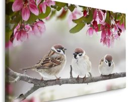 Schilderij - Mussen in de Boom, Premium Print