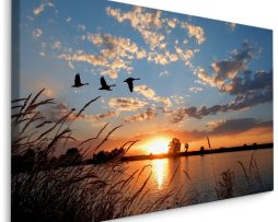 Schilderij - Ganzen bij Zonsondergang, Premium Print