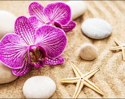 Fotobehang - Orchidee op het strand, Spa, inspiratie, zeester, in 11 maten te koop, incl behanglijm 450 x 300 cmcm