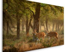 Schilderij - Jonge Hertjes in het Bos, Premium Print