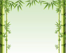 Fotobehang - Bos van Bamboe, Groen, Prachtige achtergrond, in 11 maten, incl behanglijm