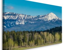 Schilderij - Grand Teton National Park, USA, Premium Print