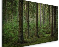 Schilderij - Het Bos, Groen, 5 maten, Premium Print