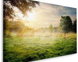 Schilderij - Mist in het Bos, 5 maten, Premium Print