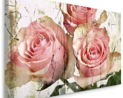 Schilderij - Prachtige Roze Rozen, Vintage afbeelding, Premium Print