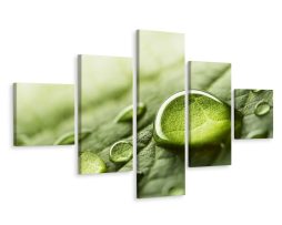 Schilderij - Waterdruppels op blad, 5luik, premium print