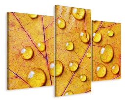 Schilderij - Waterdruppels op een herfst blad, 3 luik, Premium Print