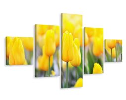 Schilderij - Gele tulpen veld, 5luik, premium print