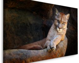 Schilderij - Poema in zijn natuurlijke omgeving, Premium print