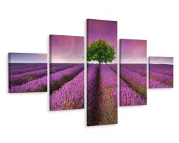 Schilderij - Boom in een lavendelveld, 5luik, premium print