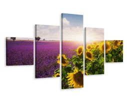 Schilderij - Lavendel en zonnebloem, 5luik, premium print