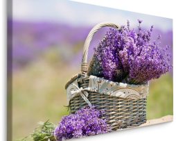 Schilderij - Lavendel in een Rieten Mand, Paars, premium print