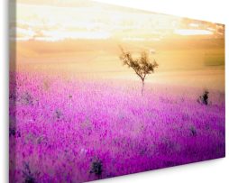 Schilderij - Eenzame Boom in een Lavendel Veld, Premium Print