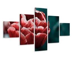 Schilderij - Tulp in bloei, 5luik, premium print