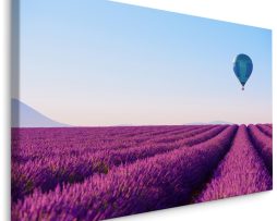 Schilderij - Luchtbalen over een lavendelveld, premium print