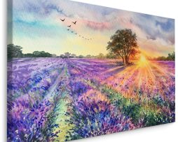 Schilderij - Geschilderd lavendelveld (print op canvas), premium print