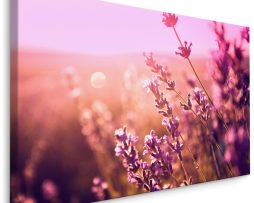Schilderij - Betoverend lavendel, premium print