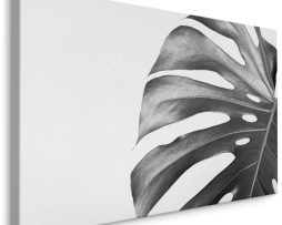 Schilderij - Palmblad zwart-wit, premium print