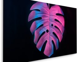 Schilderij - Kleurrijk Monstera blad, Premium Print, 5 maten