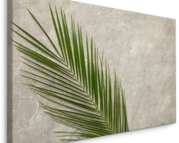 Schilderij - Palm Blad op een betonnen achtergrond, 5 maten