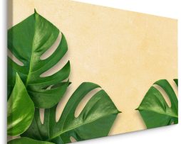 Schilderij - Monstera Bladeren, Groen, op een beige achtergrond, 5 maten
