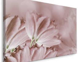 Schilderij - Pastel roze tulpen, premium print