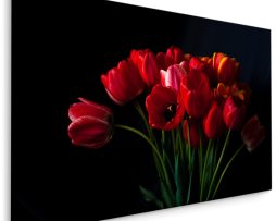 Schilderij - Rode tulpen zwarte achtergrond, premium print